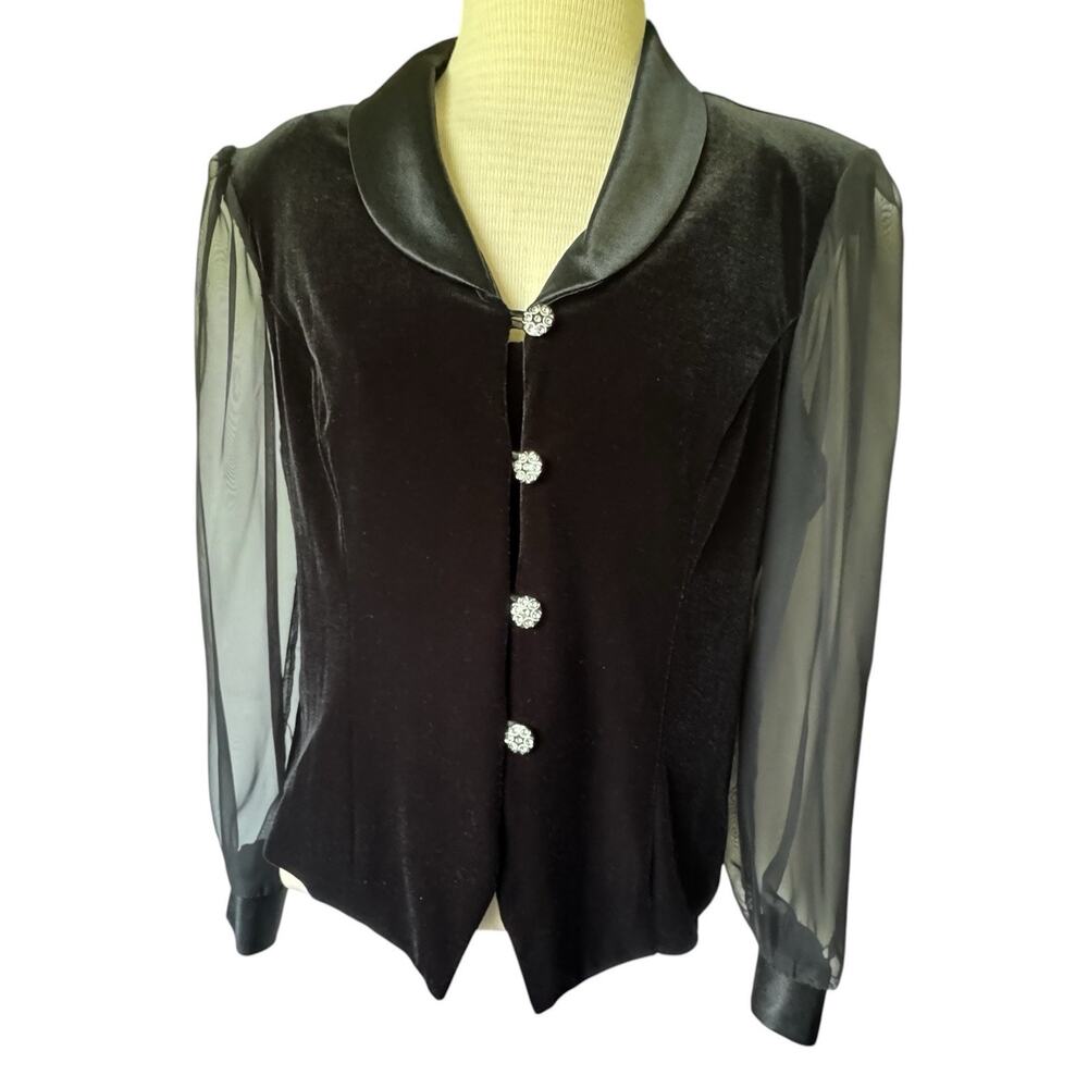 VTG Velvet Blouse Whimsgoth Black Sheer Sleeve Whimsical 14 Another Thyme Goth
